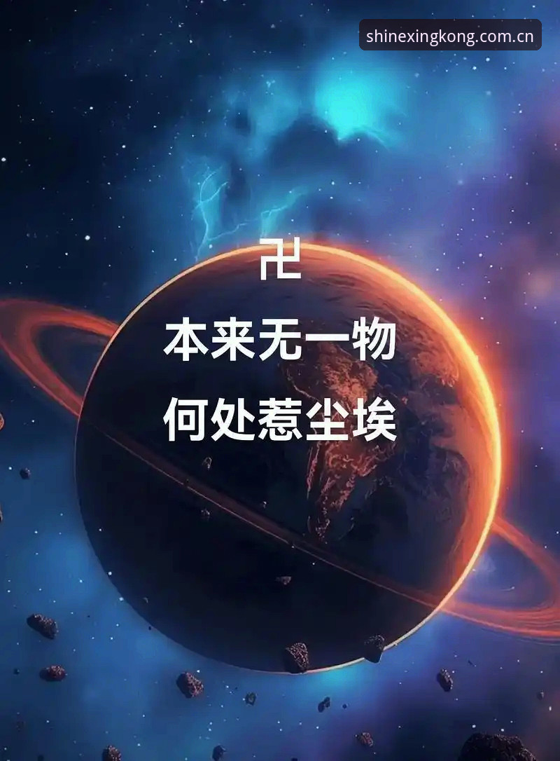 星空平台2025网站发布：一个运动记录者的选择逻辑